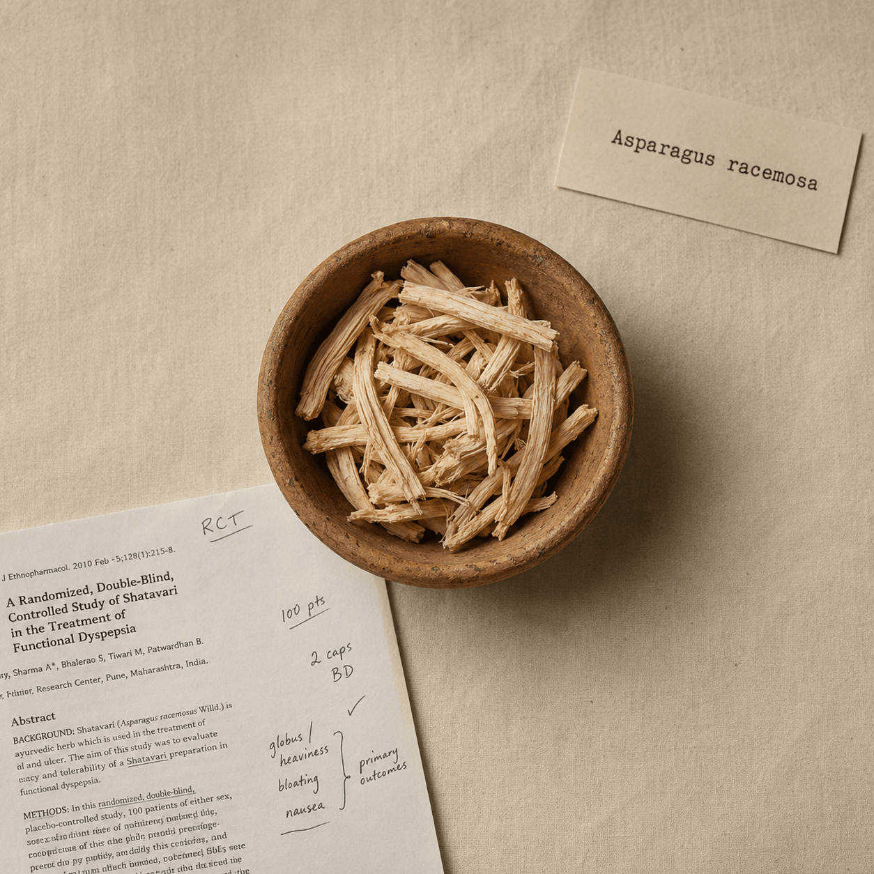 Shatavari · 80 mg standardized · Asparagus racemosa root extract.