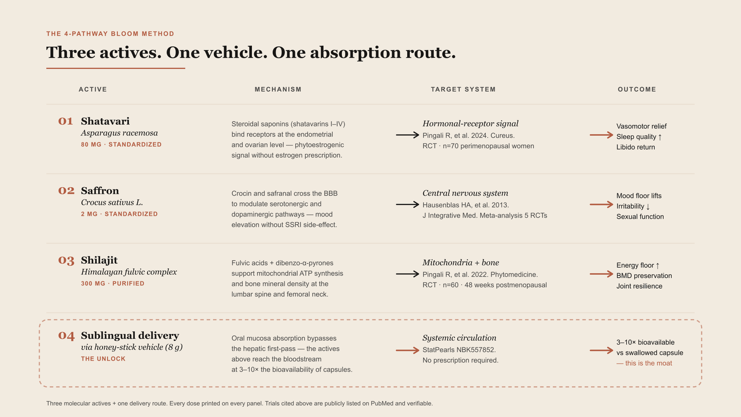 Four pathways. Three molecular, one delivery — the four-pathway mechanism diagram.