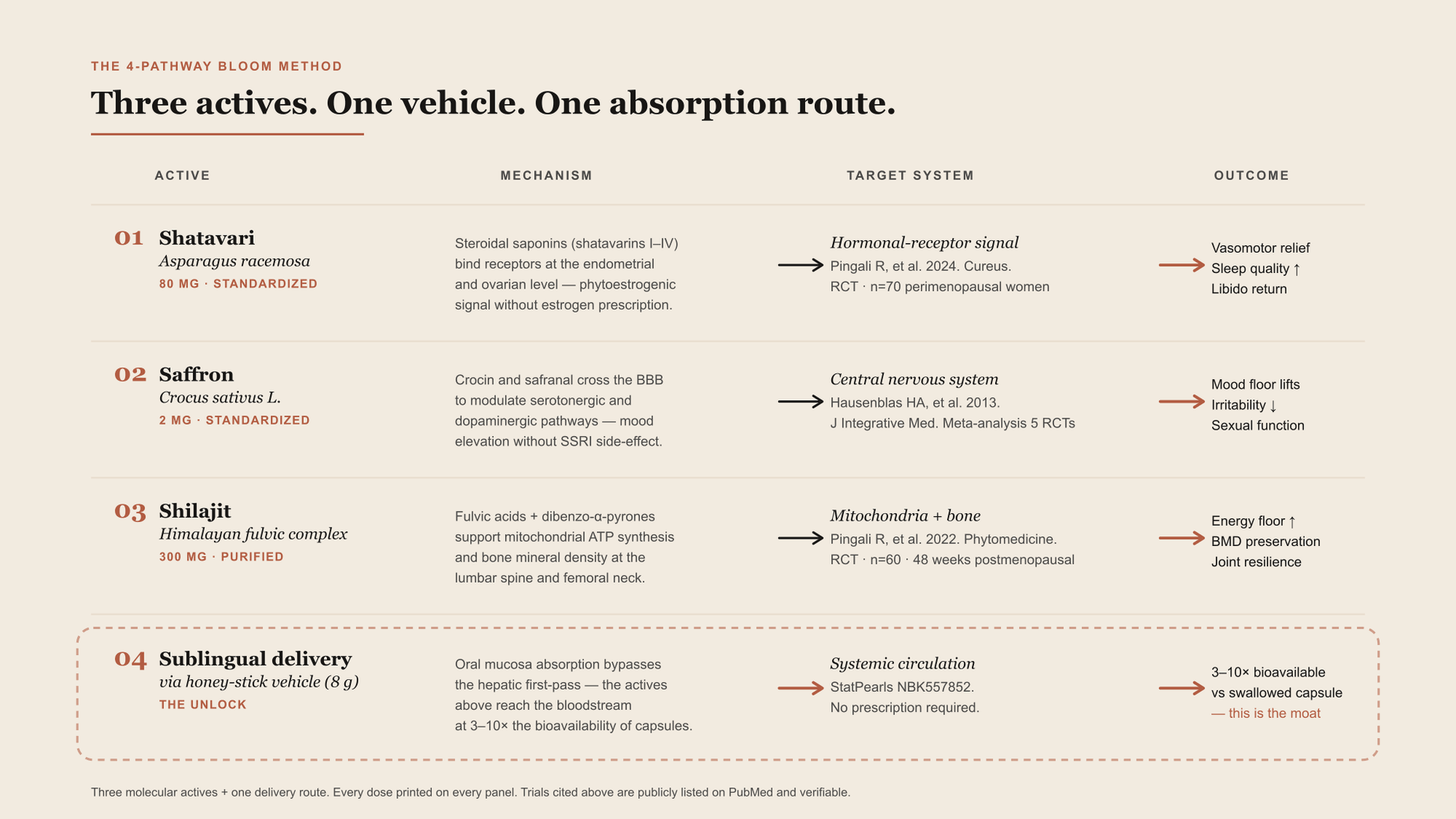 Four pathways. Three molecular, one delivery — the four-pathway mechanism diagram.